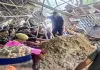 वैष्णो देवी में अर्धकुमारी में लैंडस्लाइड, 5 की मौत:14 घायल
