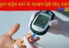 Diabetes Control: शुगर को जड़ से कंट्रोल करेंगे ये देसी घरेलू उपाय, आज से ही शुरू कर दें ये सख्त परहेज