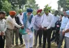 पंजाब विधान सभा के स्पीकर कुलतार सिंह संधवां ने विधान सभा में 40 से अधिक फलदार पौधे लगाए
