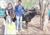 किसानों को डेयरी क्षेत्र से जोड़ने के लिए किए जा रहे विशेष प्रयास : डिप्टी डायरेक्टर