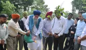 पंजाब विधान सभा के स्पीकर कुलतार सिंह संधवां ने विधान सभा में 40 से अधिक फलदार पौधे लगाए