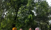 विजिलेंस ब्यूरो ने क्लर्क को 10,000 रूपये की रिश्वत लेते रंगे हाथों काबू किया