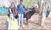 किसानों को डेयरी क्षेत्र से जोड़ने के लिए किए जा रहे विशेष प्रयास : डिप्टी डायरेक्टर