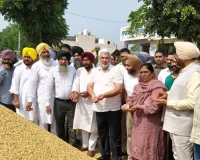 पंजाब की अनाज मंडियों में अब तक 8.50 लाख मीट्रिक टन धान की आवक, 7.50 लाख मीट्रिक टन की खरीद: लाल चंद कटारूचक