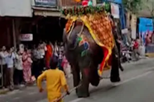 अहमदाबाद की जगन्नाथ यात्रा में DJ की आवाज़ सुनकर 3 हाथी हुए बेकाबू।.... अफ़रातफ़री में हुए 4 लोग घायल ? 