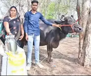 किसानों को डेयरी क्षेत्र से जोड़ने के लिए किए जा रहे विशेष प्रयास : डिप्टी डायरेक्टर