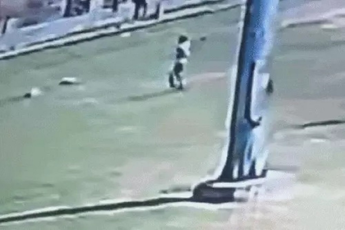 WhatsApp Image 2025-03-29 at 11.48.16 AM