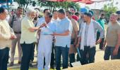 कैबिनेट मंत्री श्री लाल चंद कटारूचक्क ने सरना दाना मंडी (राजन की मंडी) में गेहूं की खरीद प्रक्रिया शुरू करवाई