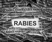 गंभीर संकट से पूर्ण इलाज की ओर कदम: भगवंत मान सरकार ने पंजाब में रेबीज़ के खतरे से निपटने के लिए किए व्यापक सुधार