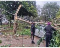 बिजली आपूर्ति बहाल करने के लिए दिन-रात काम कर रहा है पीएसपीसीएल स्टाफ