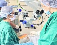 प्रोजेक्ट 