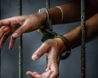 4जी/5जी टेलीकॉम से संबंधित चोरियों पर पंजाब पुलिस की सख्त कार्रवाई जारी; 17 और गिरफ्तार