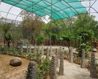 जंगली जीवों की सुरक्षा संबंधी भगवंत सिंह मान सरकार की पहलकदमियों से 2 महीनों में 80, 508 सैलानियों की हुई आमद: लाल चंद कटारूचक्क