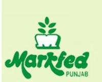मिल्कफेड पंजाब द्वारा दूध की खरीद कीमत में वृद्धि