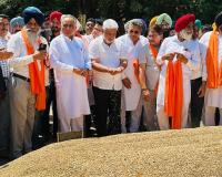 कैबिनेट मंत्री लाल चंद कटारूचक्क गुरदासपुर के अनाज मंडी पहुंचे - गेहूं खरीद व्यवस्था का लिया जायजा