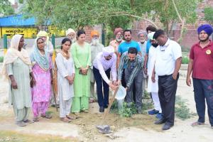 नाबार्ड और केवीके द्वारा गांव पेदनी कलां में संयुक्त पौधारोपण कार्यक्रम का आयोजन