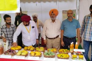 पटियाला के फलों से बनी वस्तुएँ हरियाणा के आम मेले में रहीं आकर्षण का केंद्र
