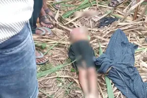 यूपी में 11 साल की बच्ची को तेंदुआ खा गया: धड़ और हाथ अलग मिला; शव से मांस गायब; रात में खींचकर ले गया था।  