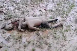 रायसेन में बेतवा नदी की बाढ़ का ड्रोन व्यू , श्योपुर में बाढ़ में बहे चाचा-भतीजे के शव एक-दूसरे से लिपटे हुए मिले