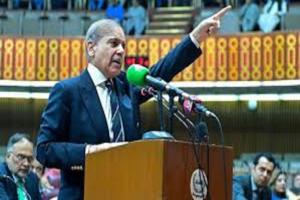 '4 दिन की जंग', स्वतंत्रता दिवस के जश्न के भाषण में PAK पीएम शहबाज शरीफ ने छाती फुलाई, भारत के खिलाफ खूब बोला झूठ