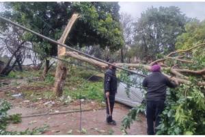 बिजली आपूर्ति बहाल करने के लिए दिन-रात काम कर रहा है पीएसपीसीएल स्टाफ